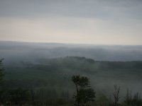 img (41)